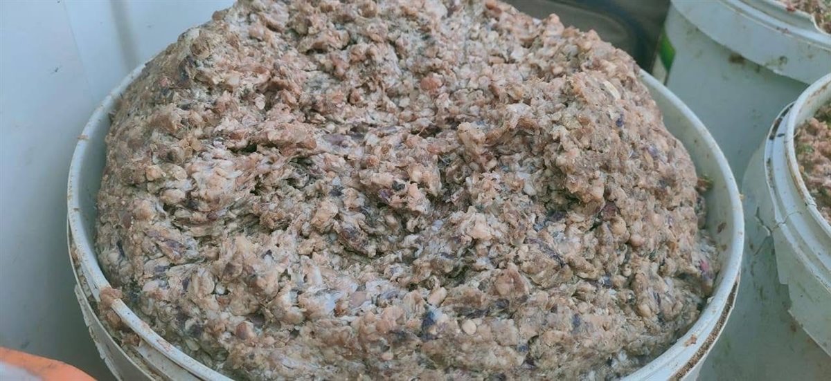 ضبط كميات من اللحوم الفاسدة