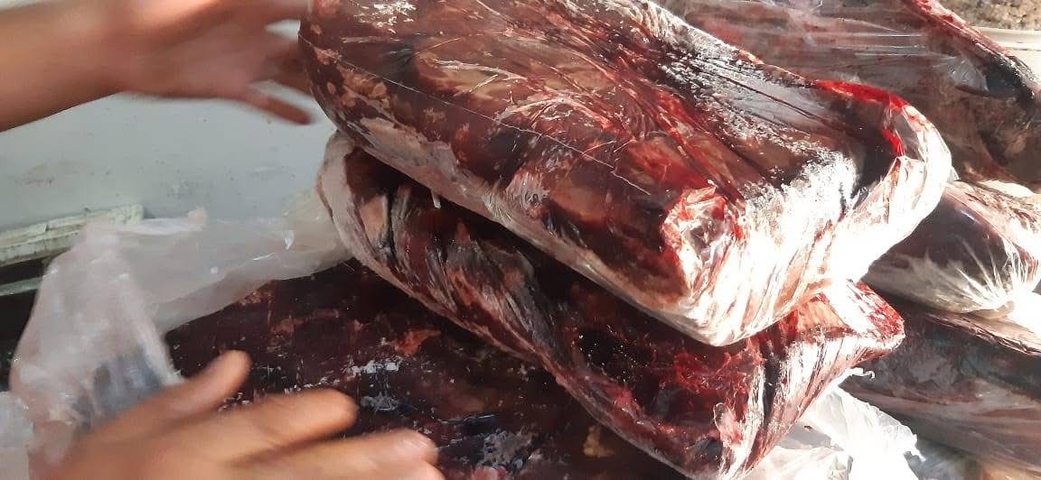 ضبط كميات من اللحوم الفاسدة