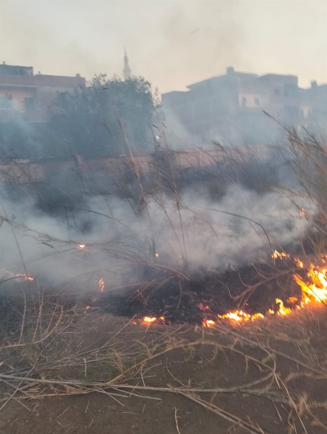 جانب من الحريق