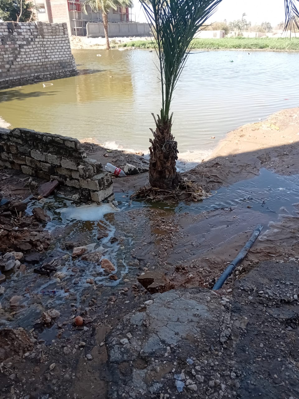 المياه تغمر المنازل