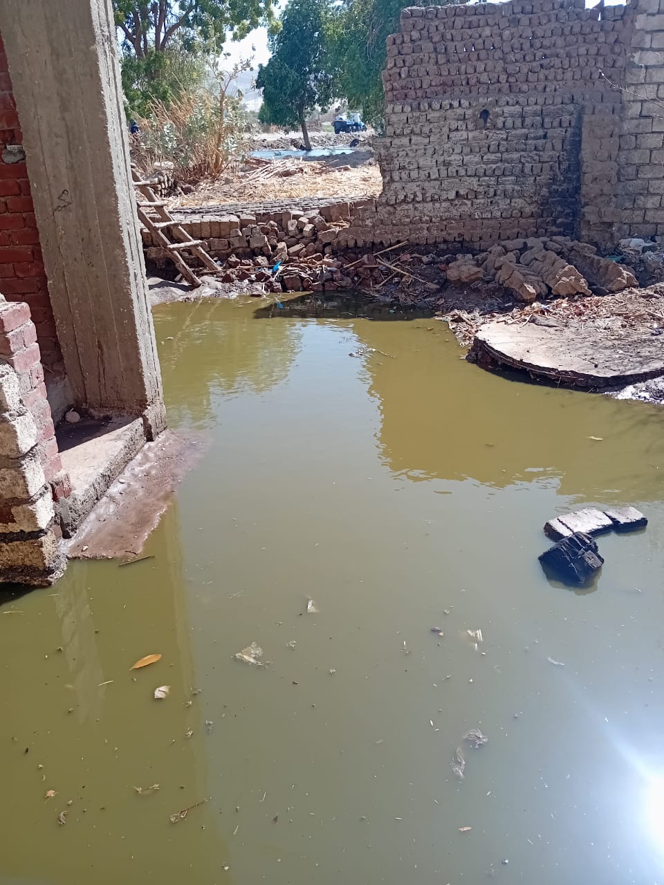 المياه تغمر المنازل