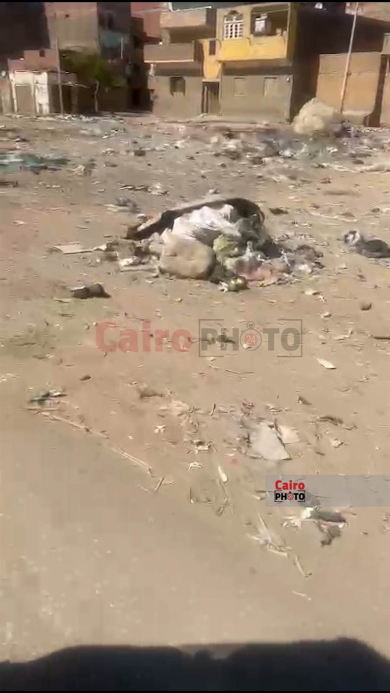 انتشار أكوام القمامة والمخلفات على امتداد 2 كم بشارع السماد بأسوان