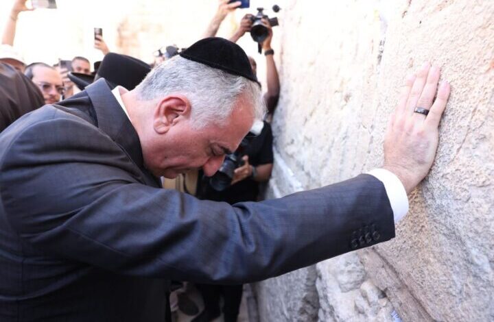 من هو محمد رضا بهلوي