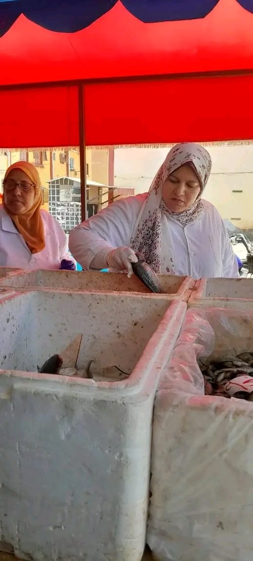 الجهود التنفيذية ببورسعيد 