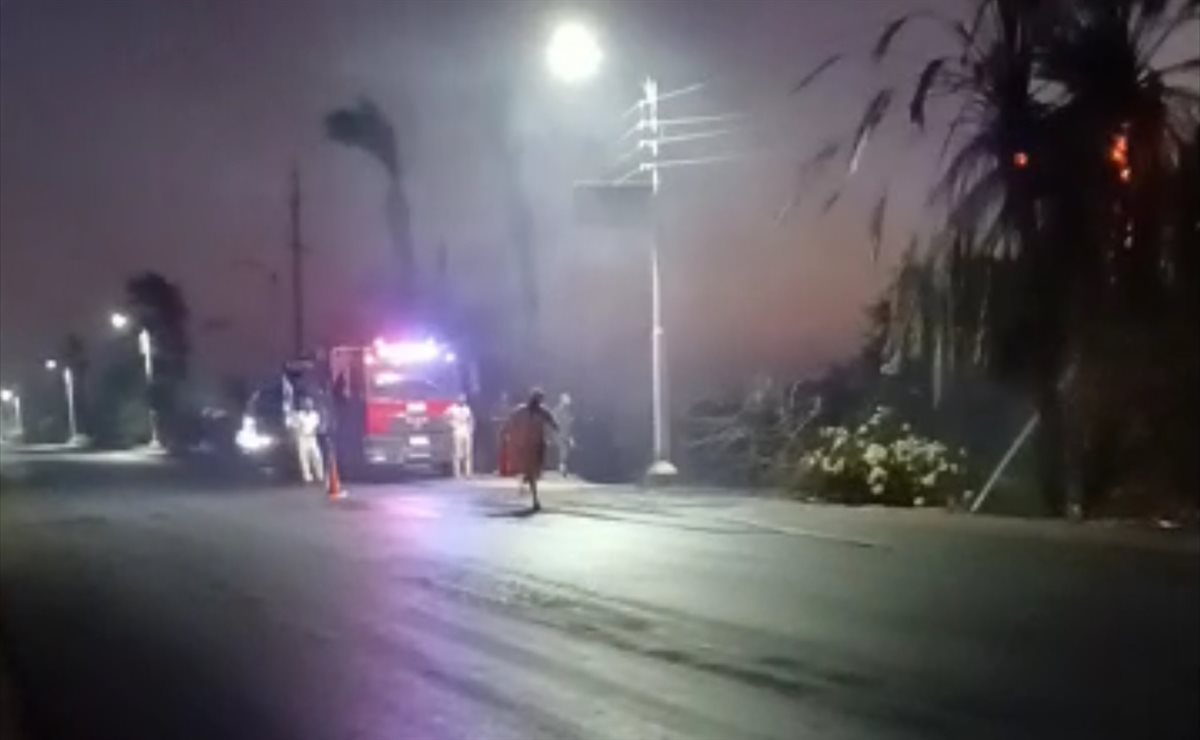 السيطرة على حريق بنخيل في الاقصر