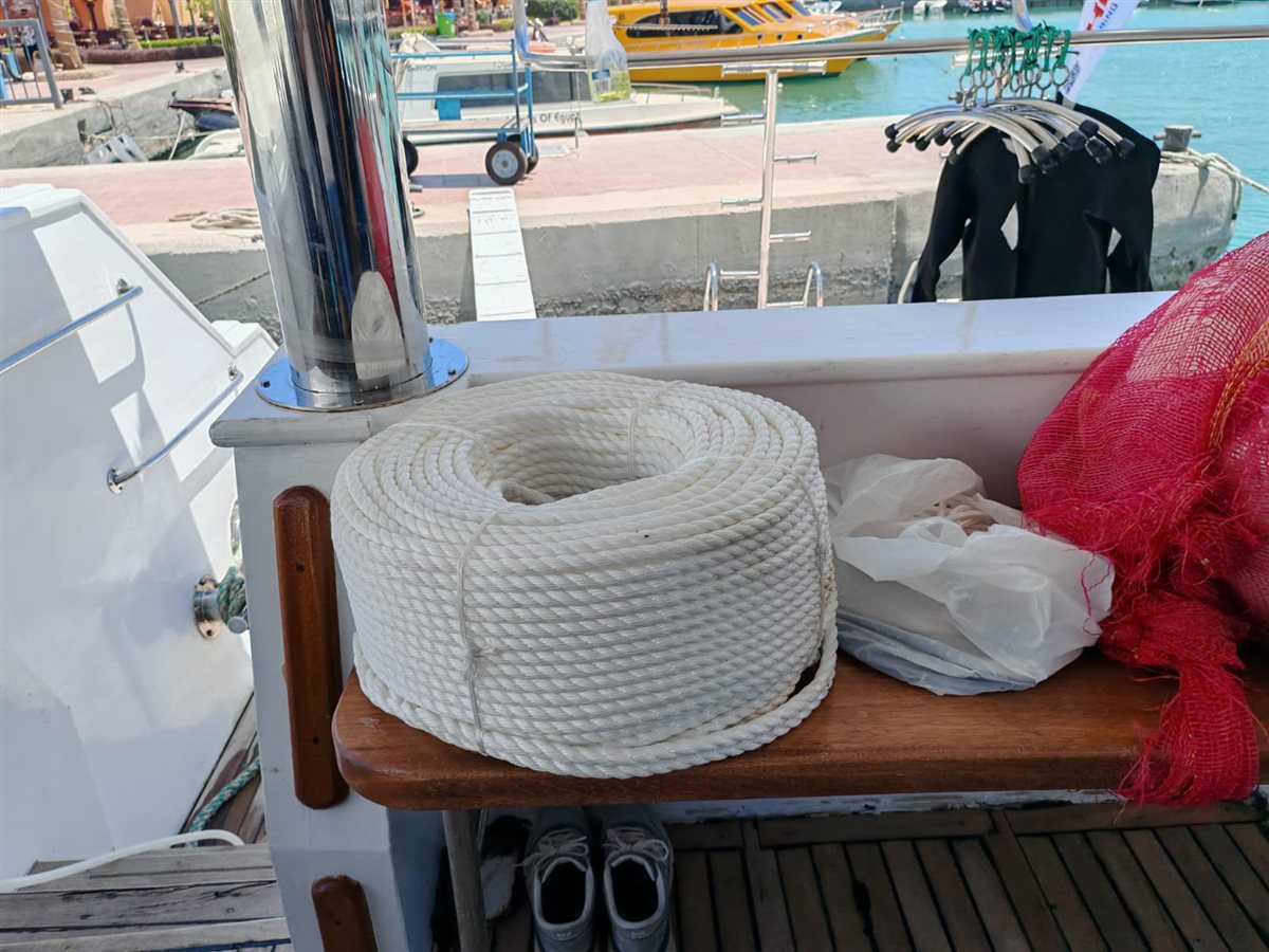 برنامج رصد وتتبع أسماك القرش في البحر الأحمر