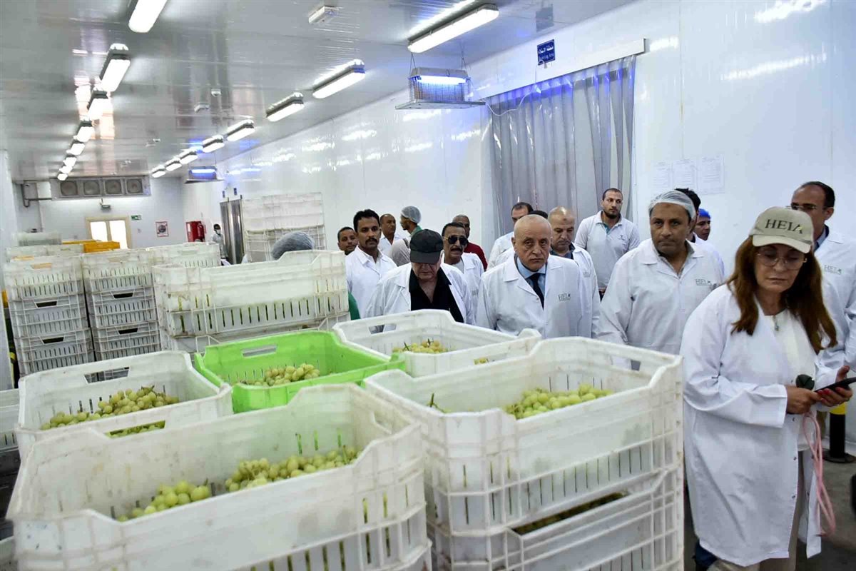 جولة محافظ الأقصر