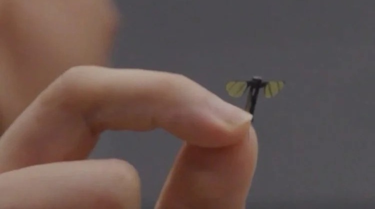 <strong>الصين تكشف عن حشرة  تجسس متناهية الصغر لا يمكن تمييزها عن الحشرات الحقيقية</strong>