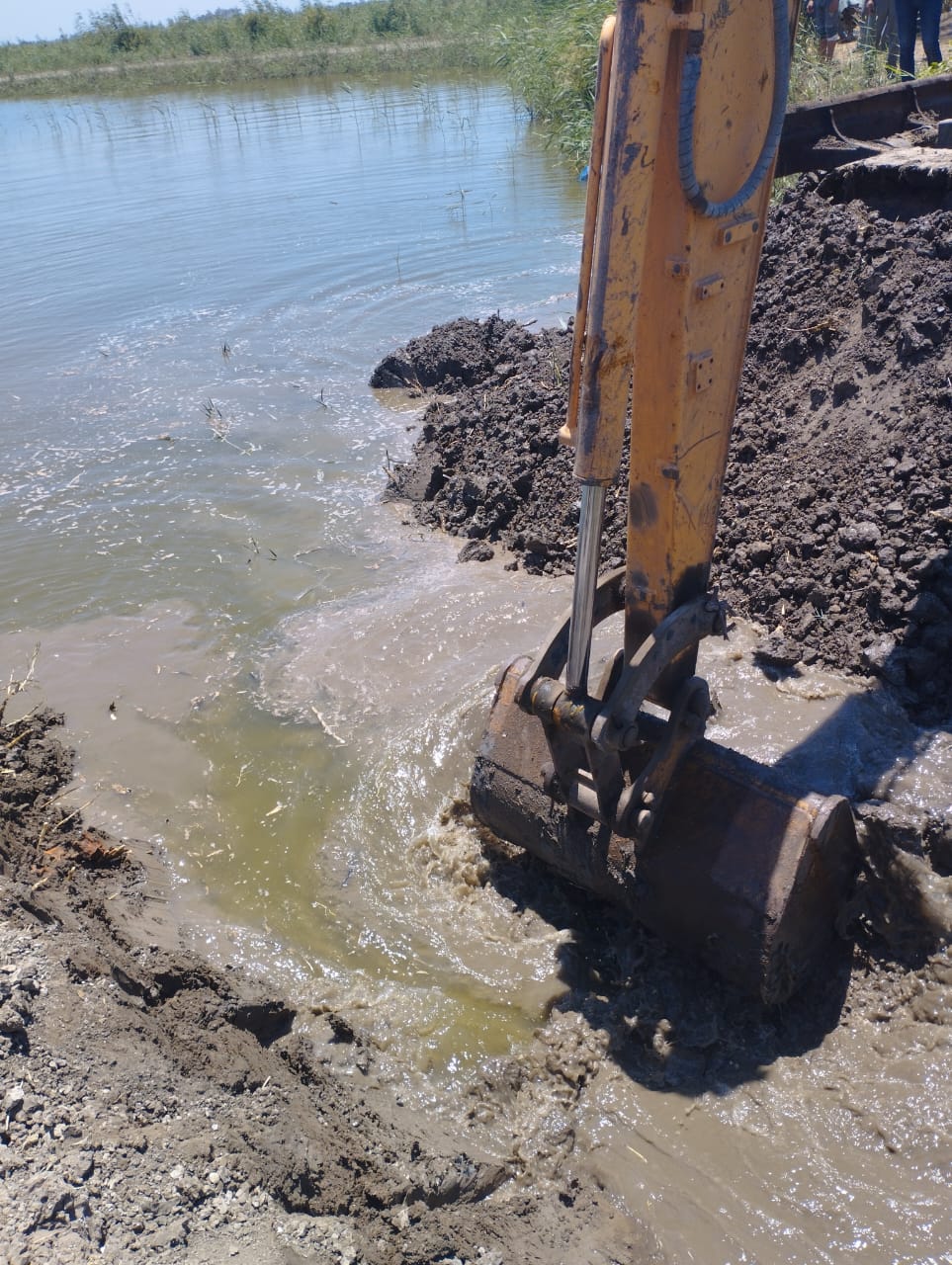 الجهود التنفيذية