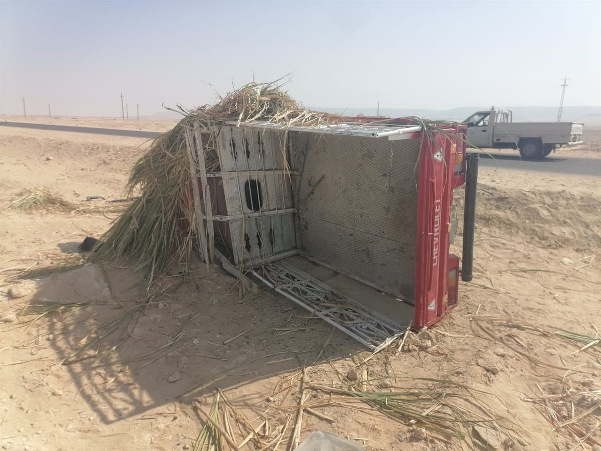 انقلاب سيارة ربع نقل محملة بالعمال بأسيوط