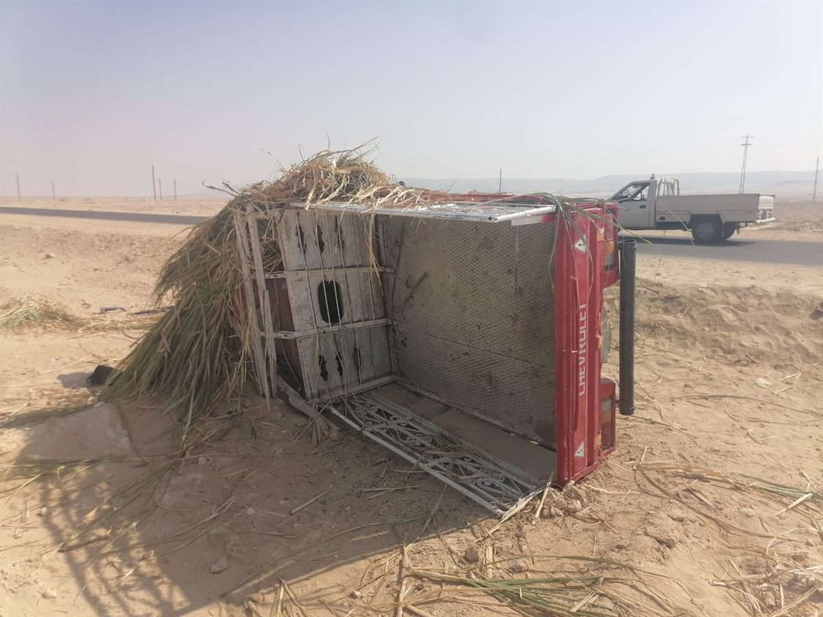 انقلاب سيارة ربع نقل محملة بالعمال بأسيوط