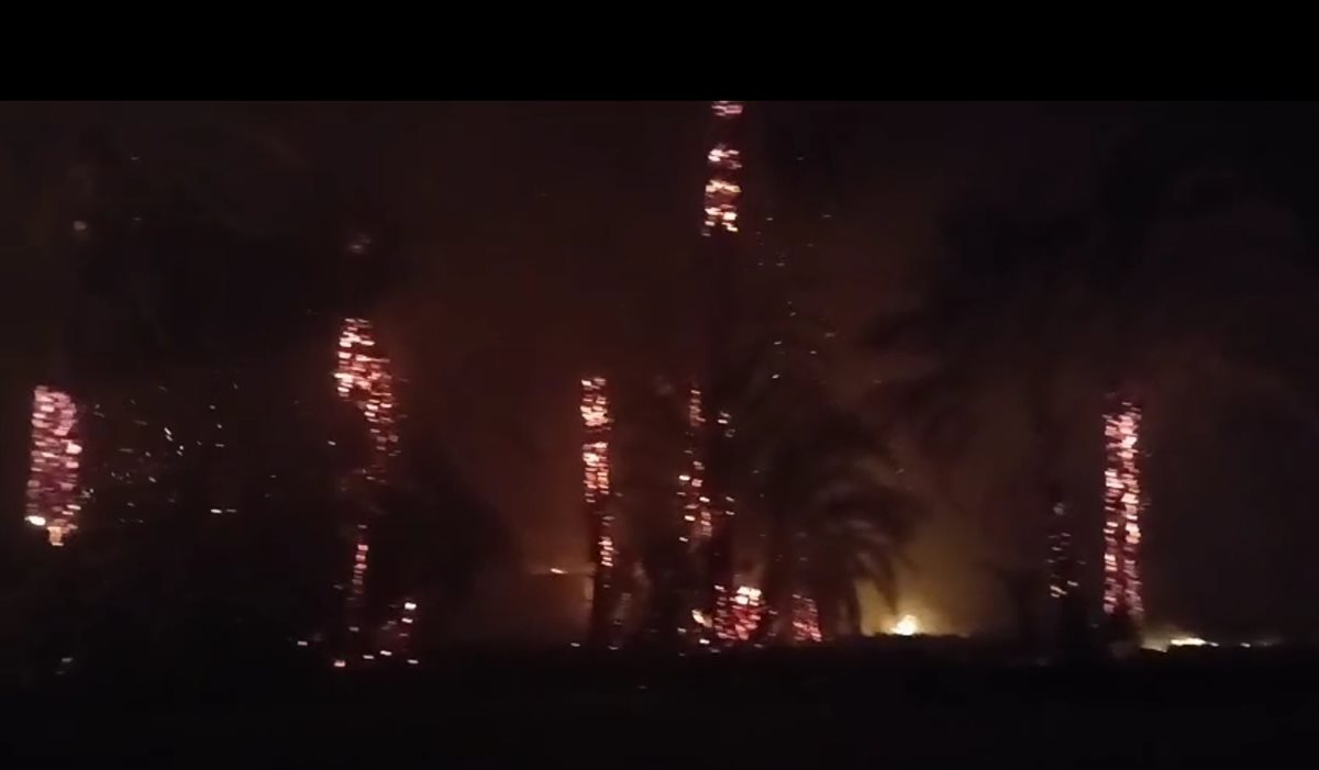 حريق هائل بنخيل