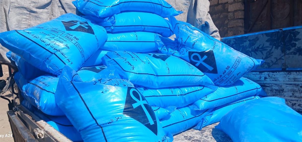 حملات تموينية مكثفة بالأقصر