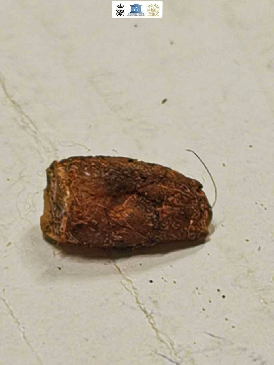 مقتنيات متحف قصر المنيل