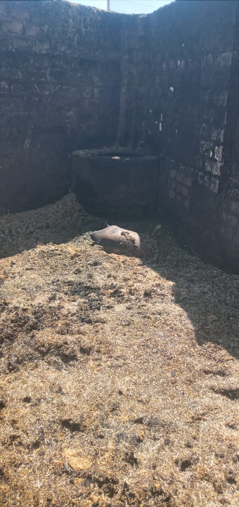 حريق يلتهم 4 أحواش في سوهاج