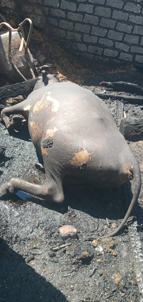 حريق يلتهم 4 أحواش في سوهاج