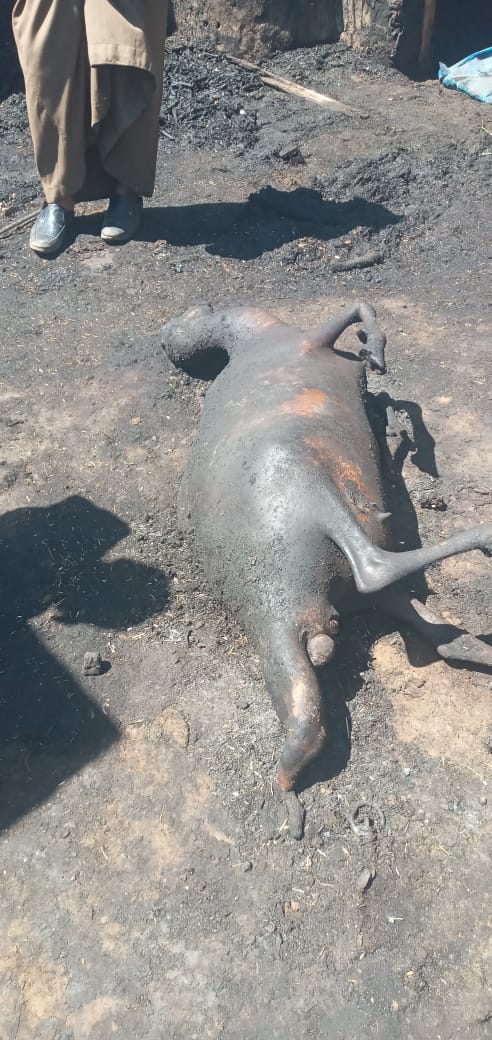 حريق يلتهم 4 أحواش في سوهاج