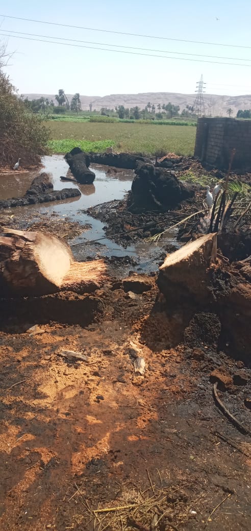 حريق يلتهم 4 أحواش في سوهاج