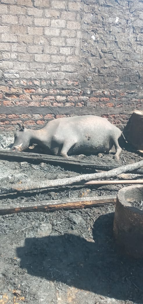 حريق يلتهم 4 أحواش في سوهاج