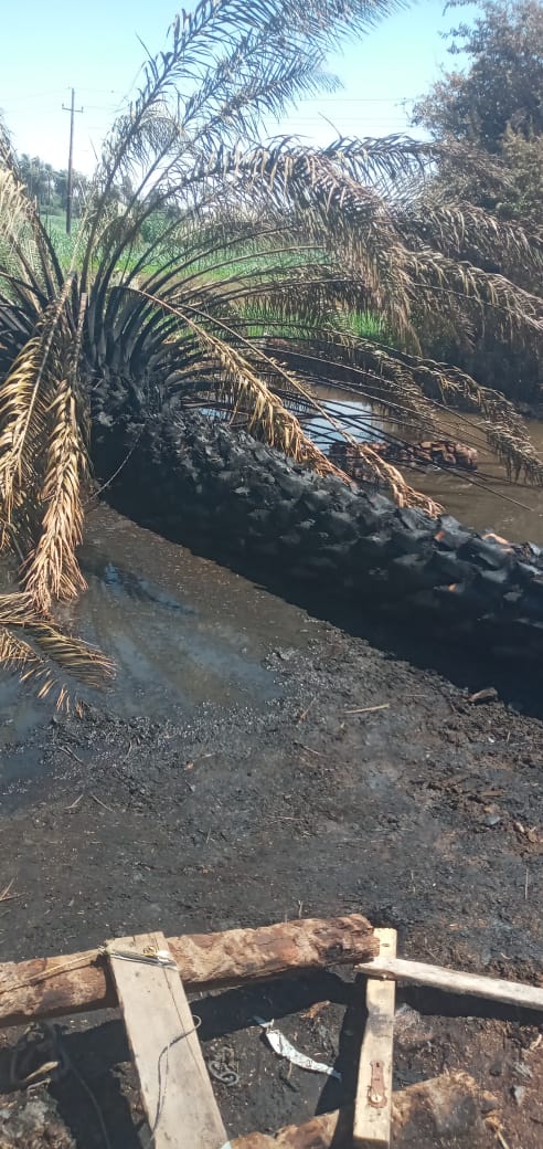 حريق يلتهم 4 أحواش في سوهاج