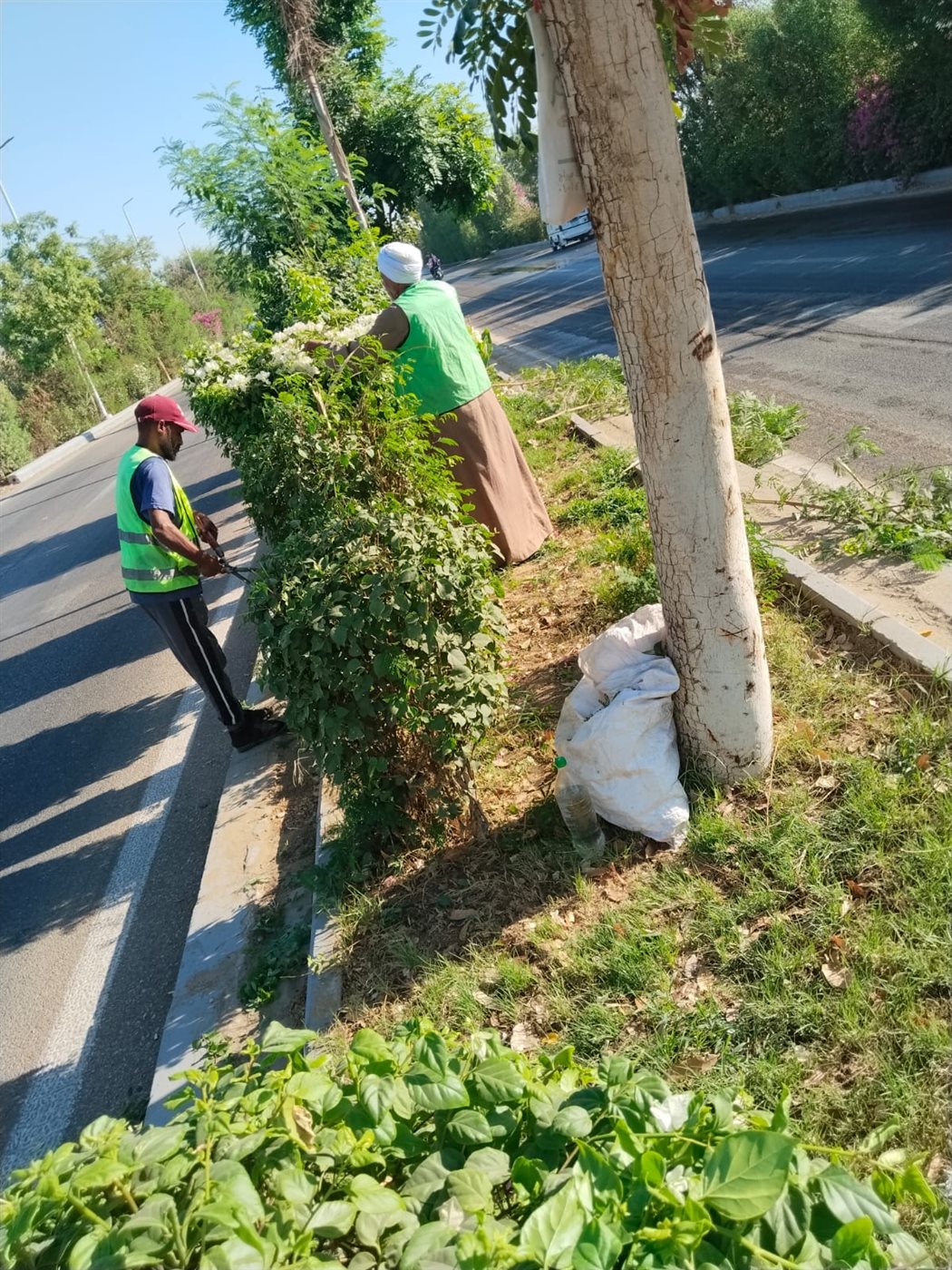 تجميل شوارع الأقصر