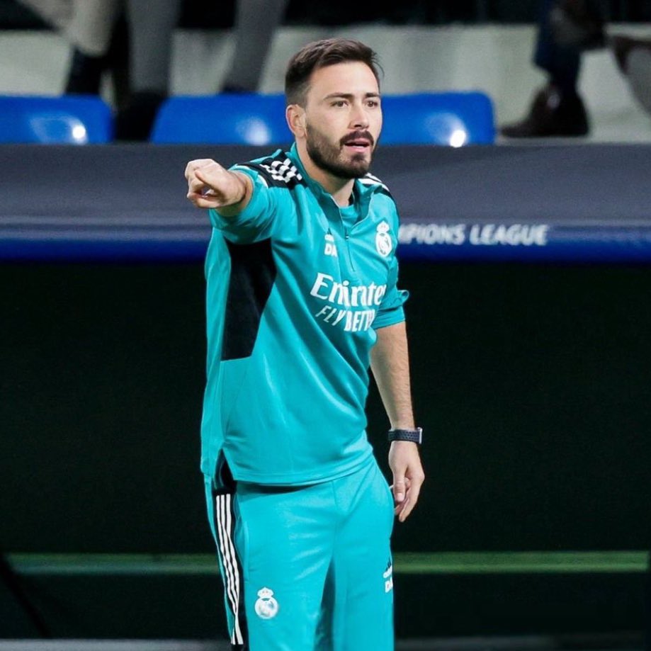 ديفيد أنشيلوتي