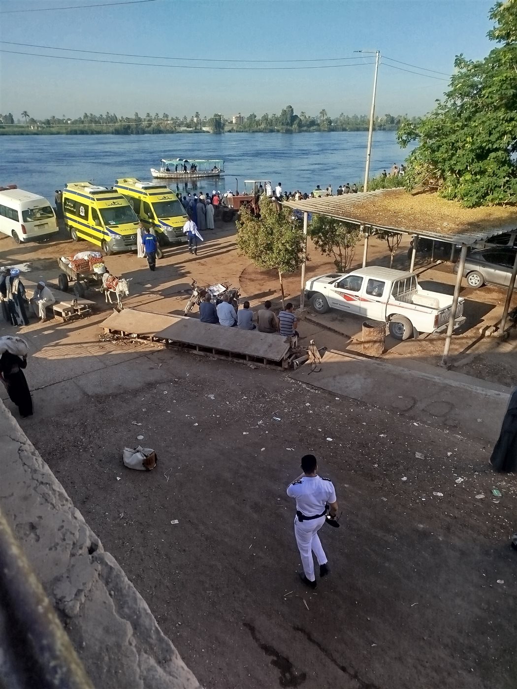 وقعت من المعدية.. جهود مكثفة لانتشال سيارة محملة بالماشية داخل نهر النيل في قنا