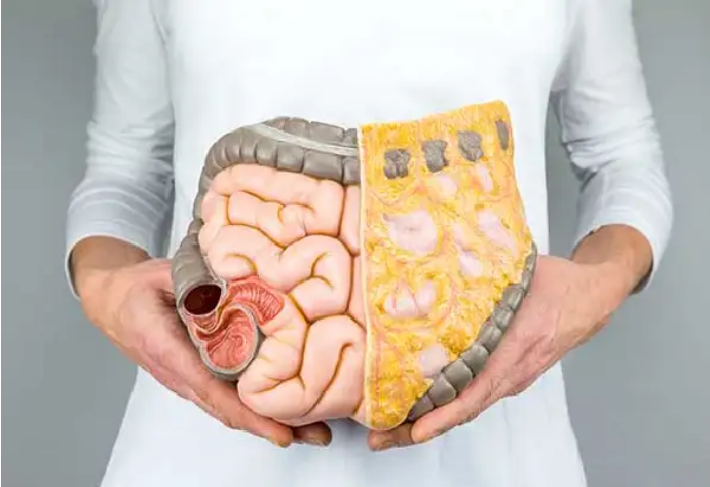 طرق طبيعية لتنظيف القولون