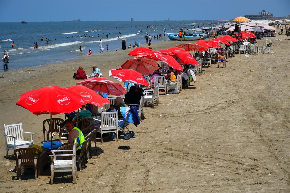 الجهود التنفيذية ببورسعيد 