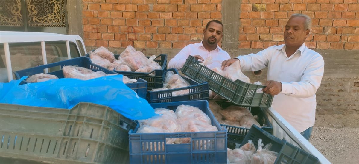 دواجن ولحوم فاسدة في حملات تموينية بالأقصر