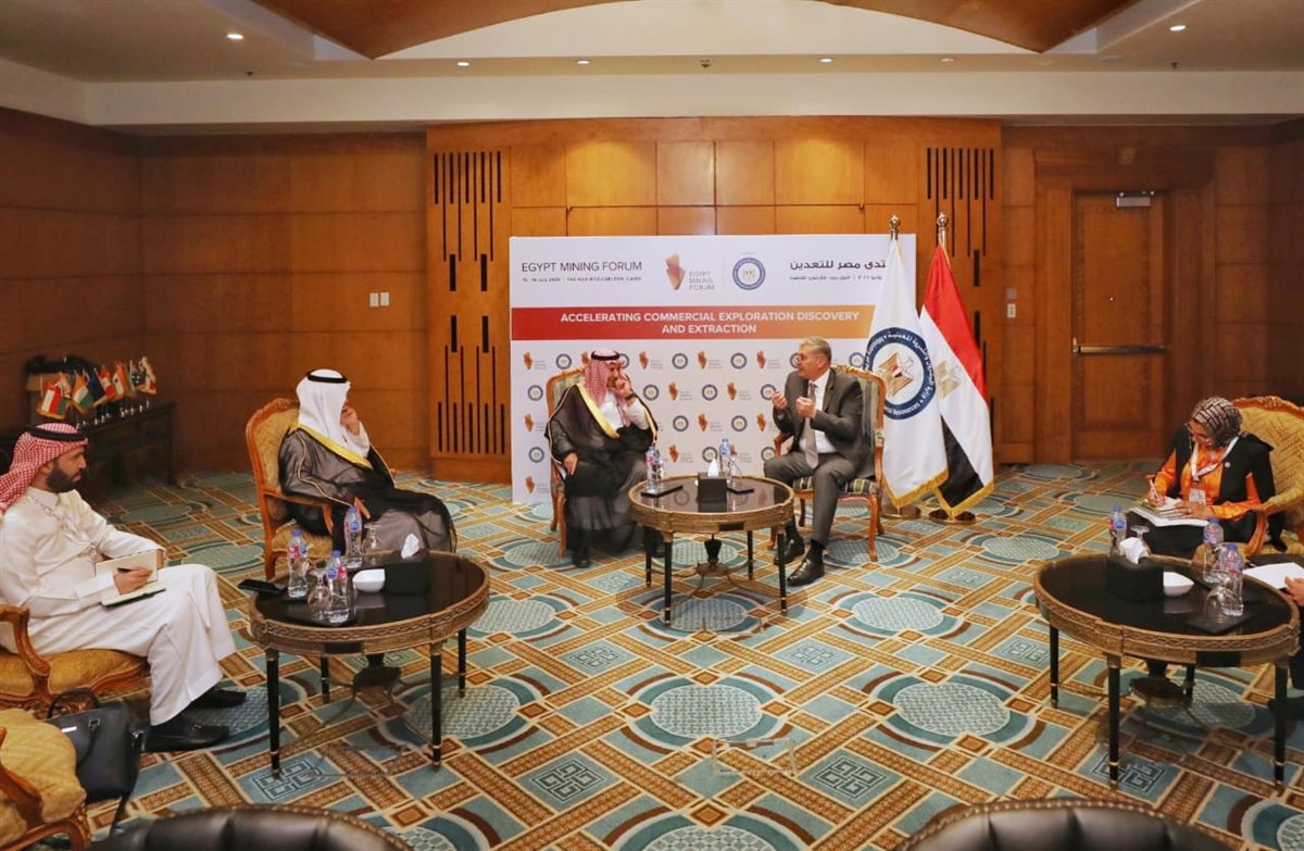 وزير البترول المصري يبحث مع نائب وزير الصناعة السعودي