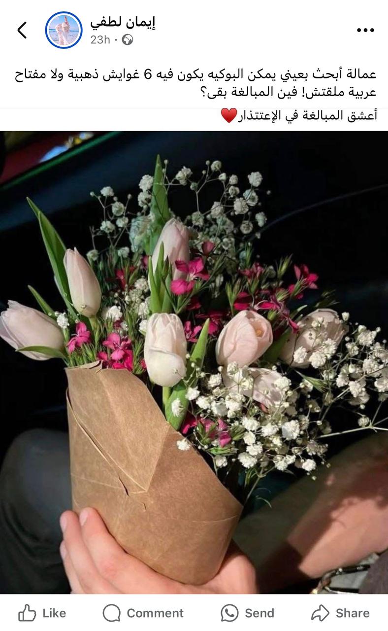 معلمة الإسكندرية