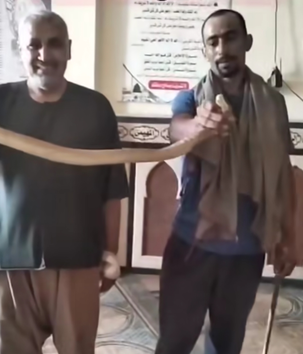 العثور على ثعبان كوبرا داخل زاوية بقرية بالبحيرة