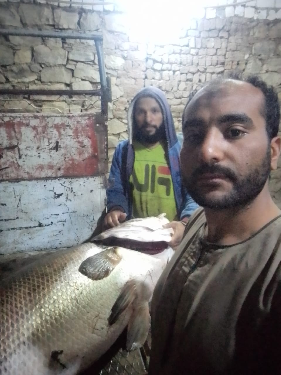 صياد بالأقصر يصطاد أكبر سمكة ساموس في النيل 