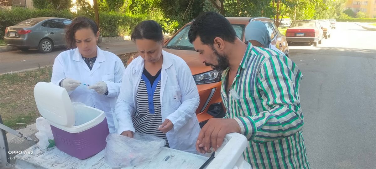 تطعيم وتحصين 260 كلب ضال  في بعض المناطق بمحافظ الجيزة 