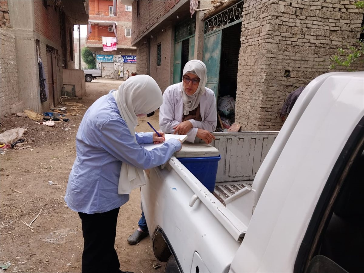 تطعيم وتحصين 260 كلب ضال  في بعض المناطق بمحافظ الجيزة 