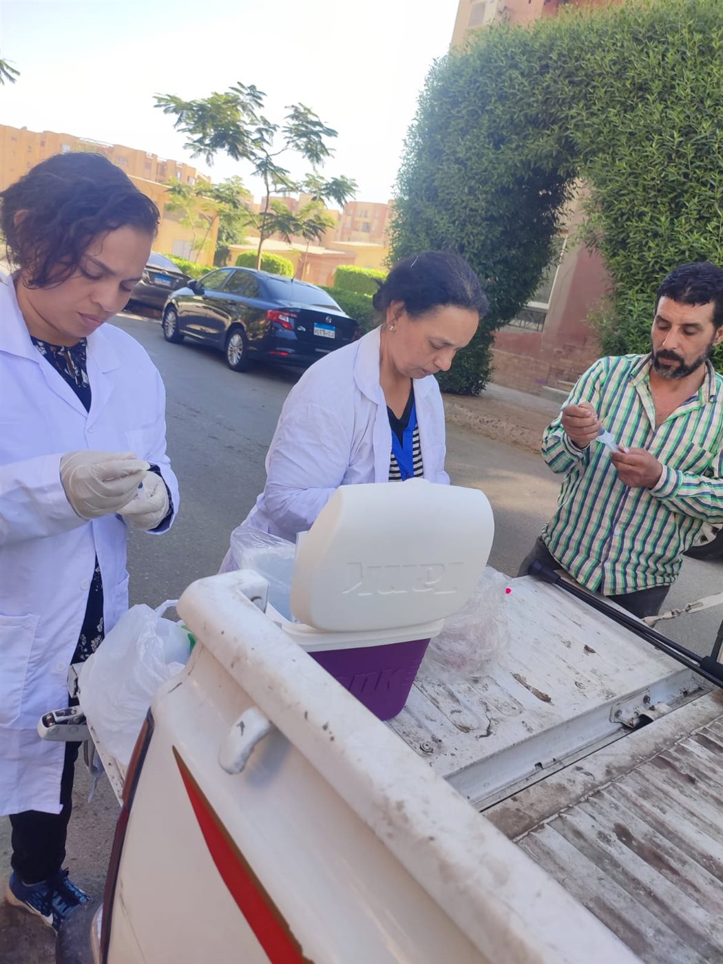 تطعيم وتحصين 260 كلب ضال  في بعض المناطق بمحافظ الجيزة 