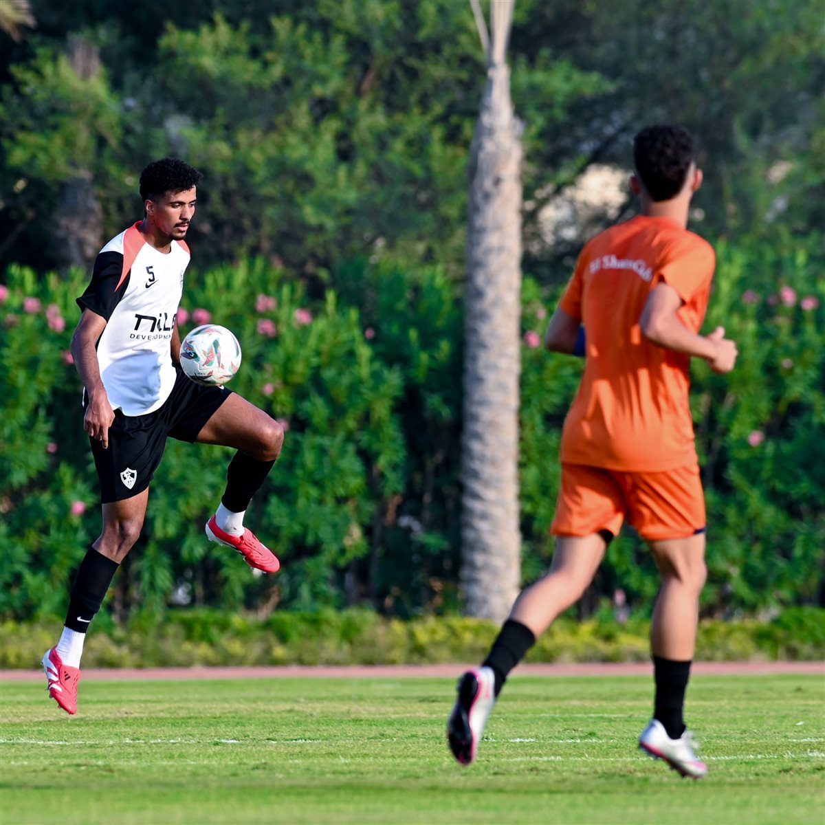 <strong>صور من مباراة الزمالك والشمس الودية </strong>