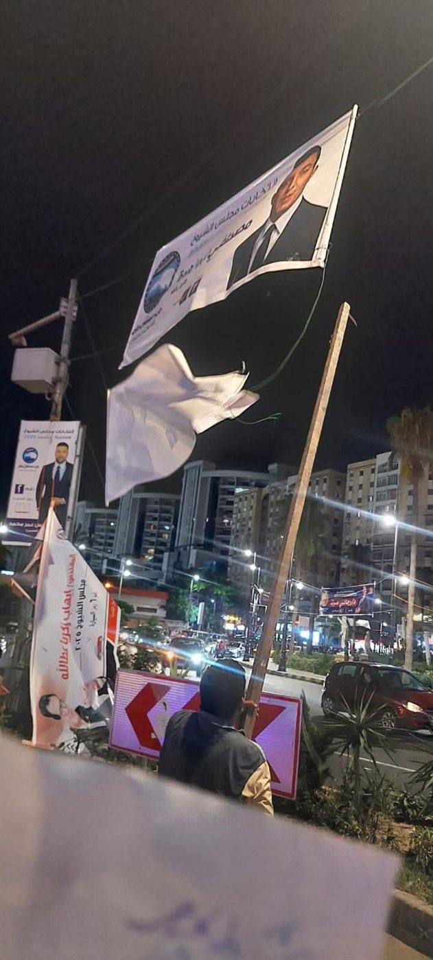 إزالة دعاية انتخابية مخالفة بالإسكندرية 