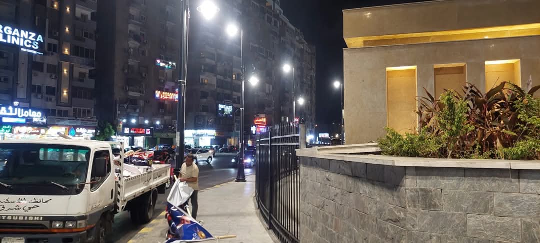 إزالة دعاية انتخابية مخالفة بالإسكندرية 