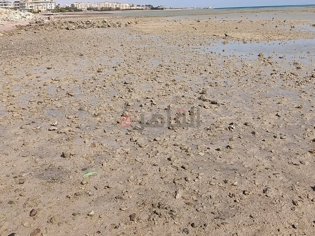 المد والجزر علي شواطئ الغردقة 