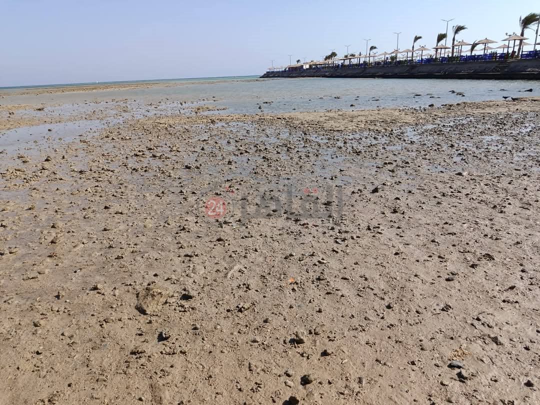 المد والجزر علي شواطئ الغردقة 