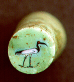 طائر الإيبيس في قلب زجاجة