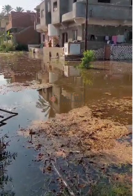 غرق أراضٍ ومنازل في عين غصين بالإسماعيلية (2)