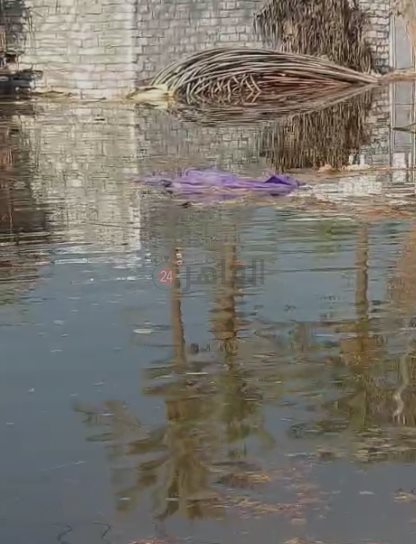 غرق أراضٍ ومنازل في عين غصين بالإسماعيلية (4)