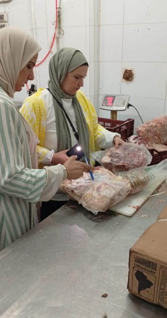 جانب من الحملات 