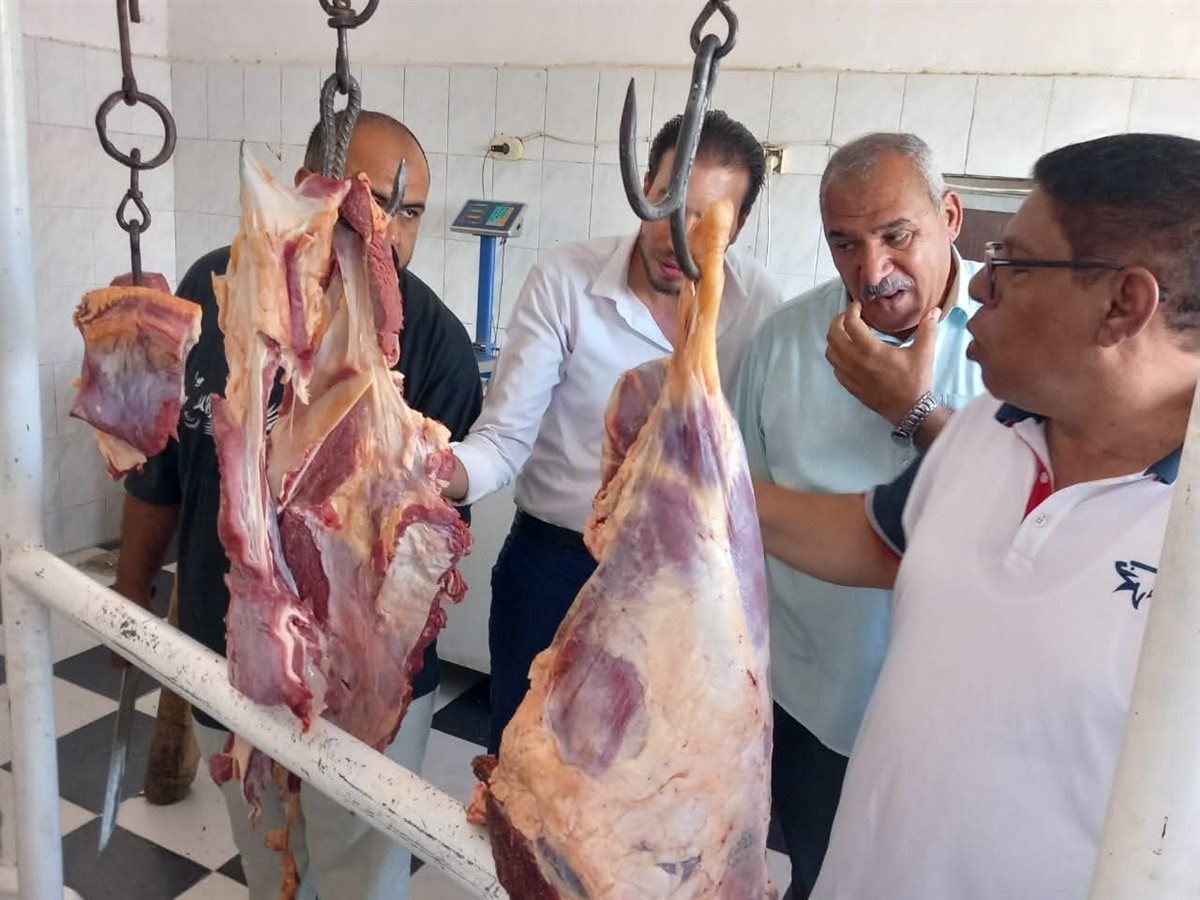 توفير لحوم سودانية طازجة 