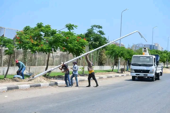 الجهود التنفيذية ببورسعيد 