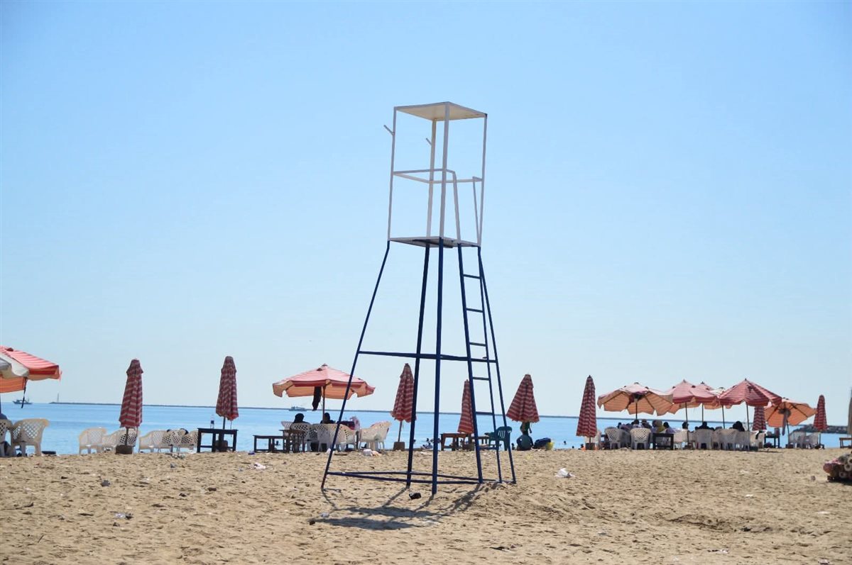 الجهود التنفيذية ببورسعيد 