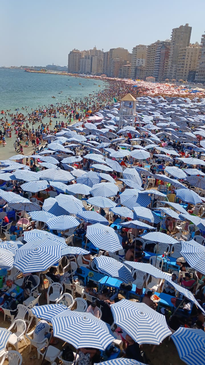 شواطئ الإسكندرية 